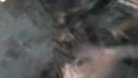 “She’s Here” #actionthriller #movieclips #hollywood #horror