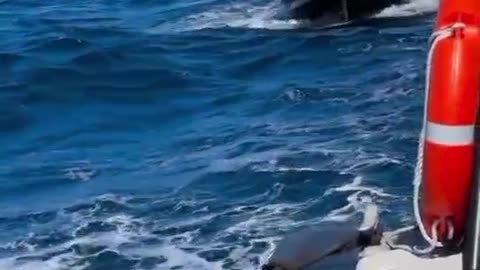 "Beautiful Ocean View – Must Watch!"