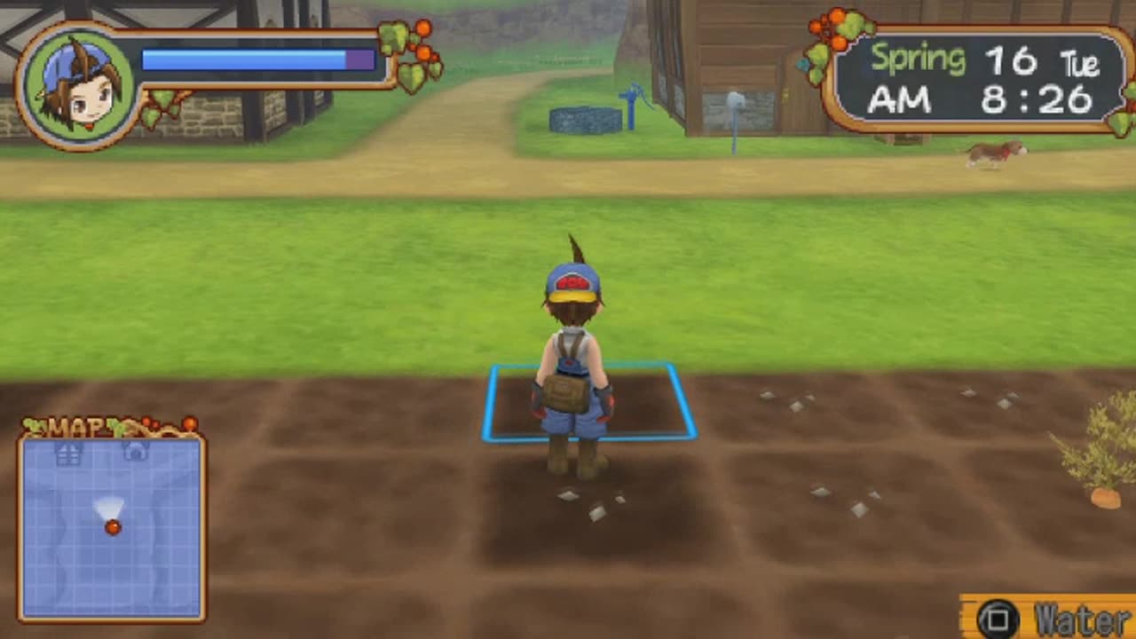 Harvest Moon Hero of Leaf Valley Review Newbie's Perspective Part 2