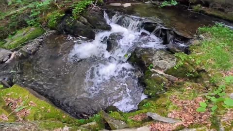 Cascade Pool