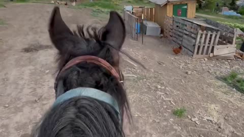 Smokey’s first ride out of the round pen