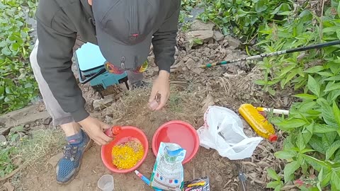 Exploring a New River for Blue Catfish