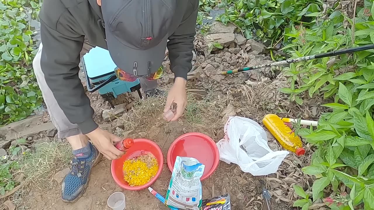 Exploring a New River for Blue Catfish