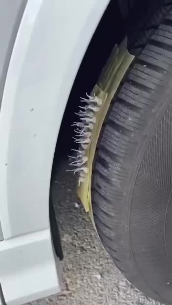 It will always be fun with a husband like this 🫡