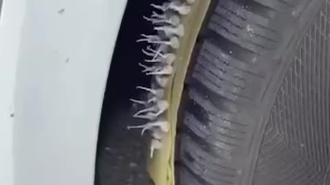 It will always be fun with a husband like this 🫡