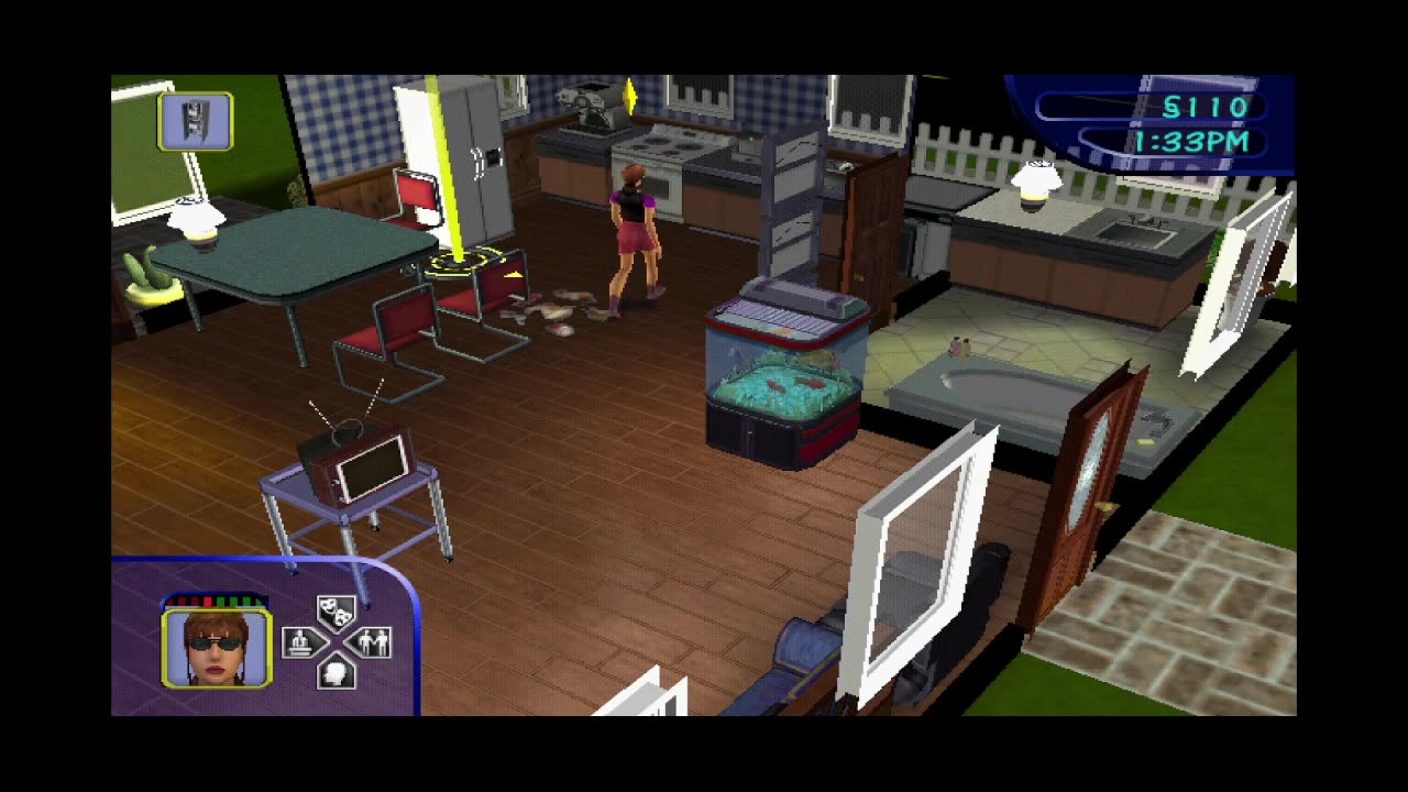 The SIMS PS2