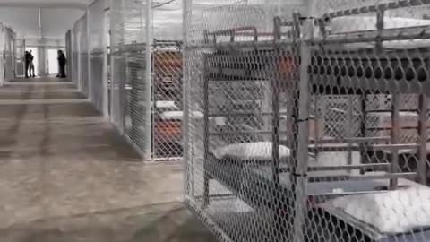 Carcere Alligator di Alcatraz