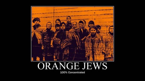 Alligator Auschwitz Meme Compilation 7-2-25