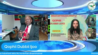 Qophii Dubbii Ijoo ONM-ABO Adoolessa 6-2025 itti dhiyaadhaa!