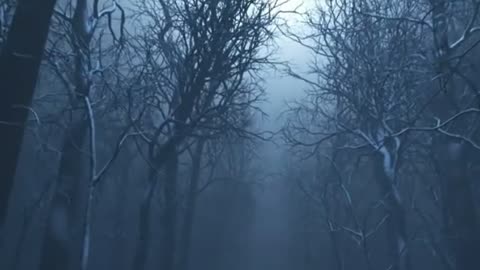 What made them run into the unknown? The Dyatlov Mystery