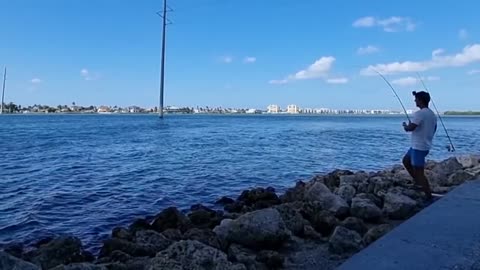 a pesca sotto uno dei ponti della florida con esca gamberi, shrimp, e granchi, crab_part2