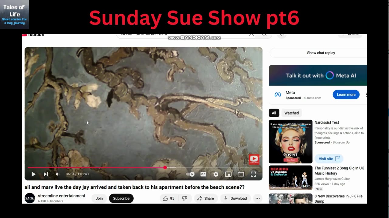 Sunday Sue show 2 pt 6