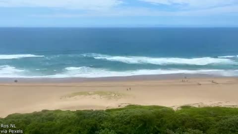 Your Daily Dose Of Internet / Someone is Getting Fired