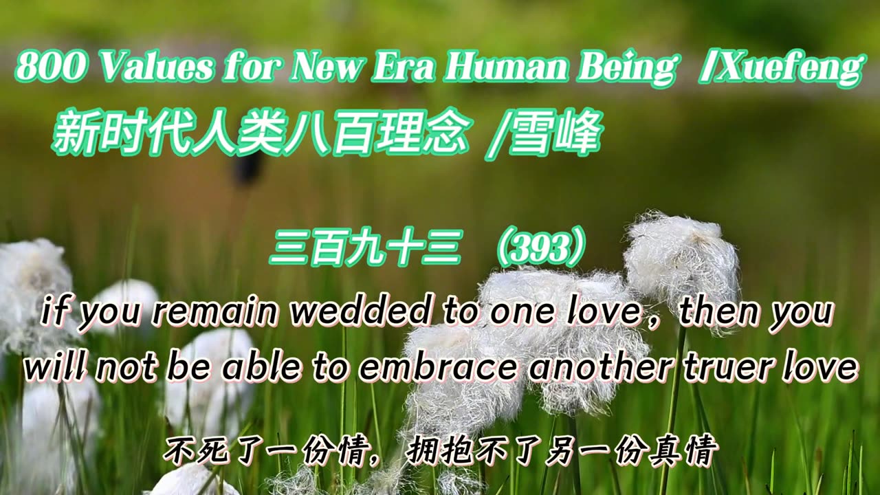 800 Values for New Era Human Being（393）