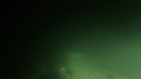 Six Gill at Redondo