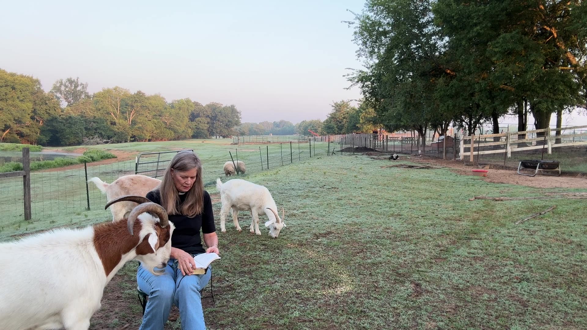 Morning Prayer, Daily Office