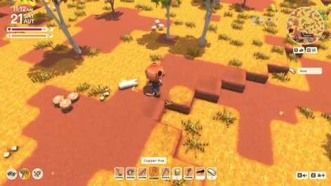 Co-op Australian Animal Crossing - Dinkum!