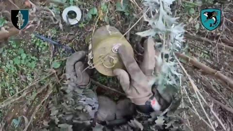 🌿👊 Ukraine Russia War | Ukrainian SOF Team Mines Russian Routes in Kursk | RCF