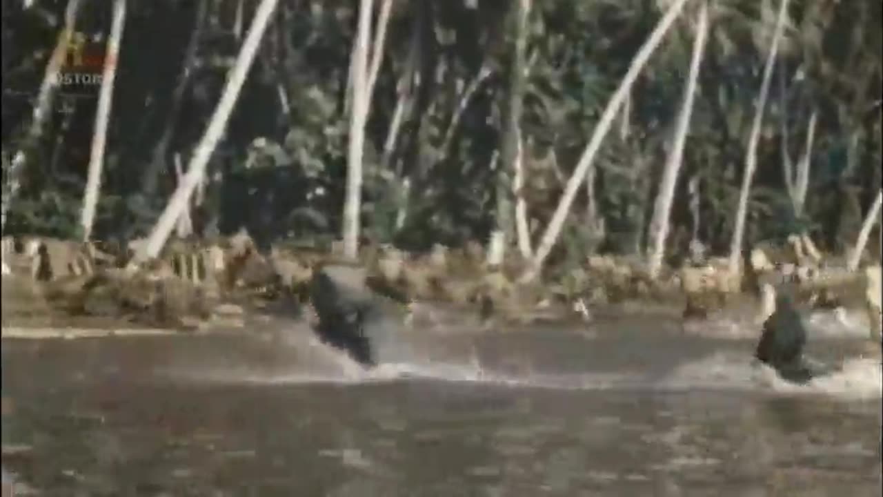 USS ENTERPRISE 6 lektor pl