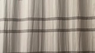 🤣🧴 The Dr. Bronner's Claims Another Victim! | FunFM