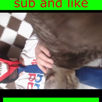 If shitting was a sport, I’d have a gold medal