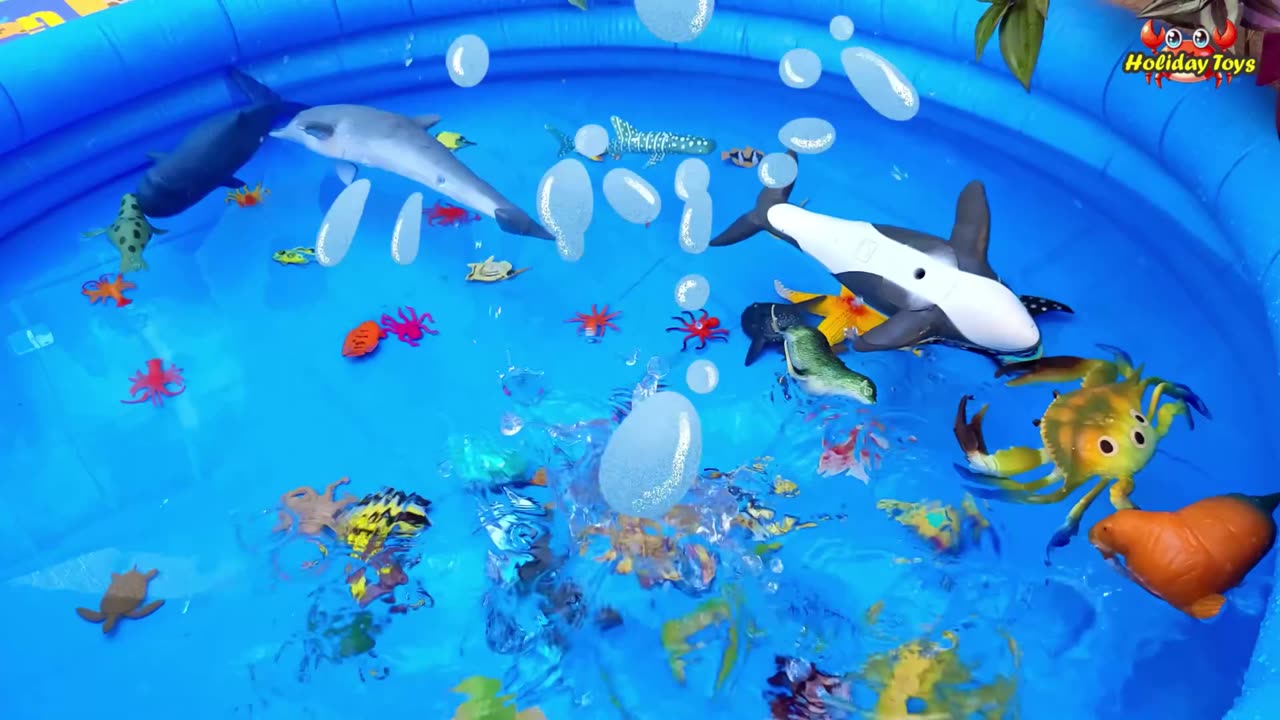 Giant Isopod Digs Underwater Sand to Find Safe Place