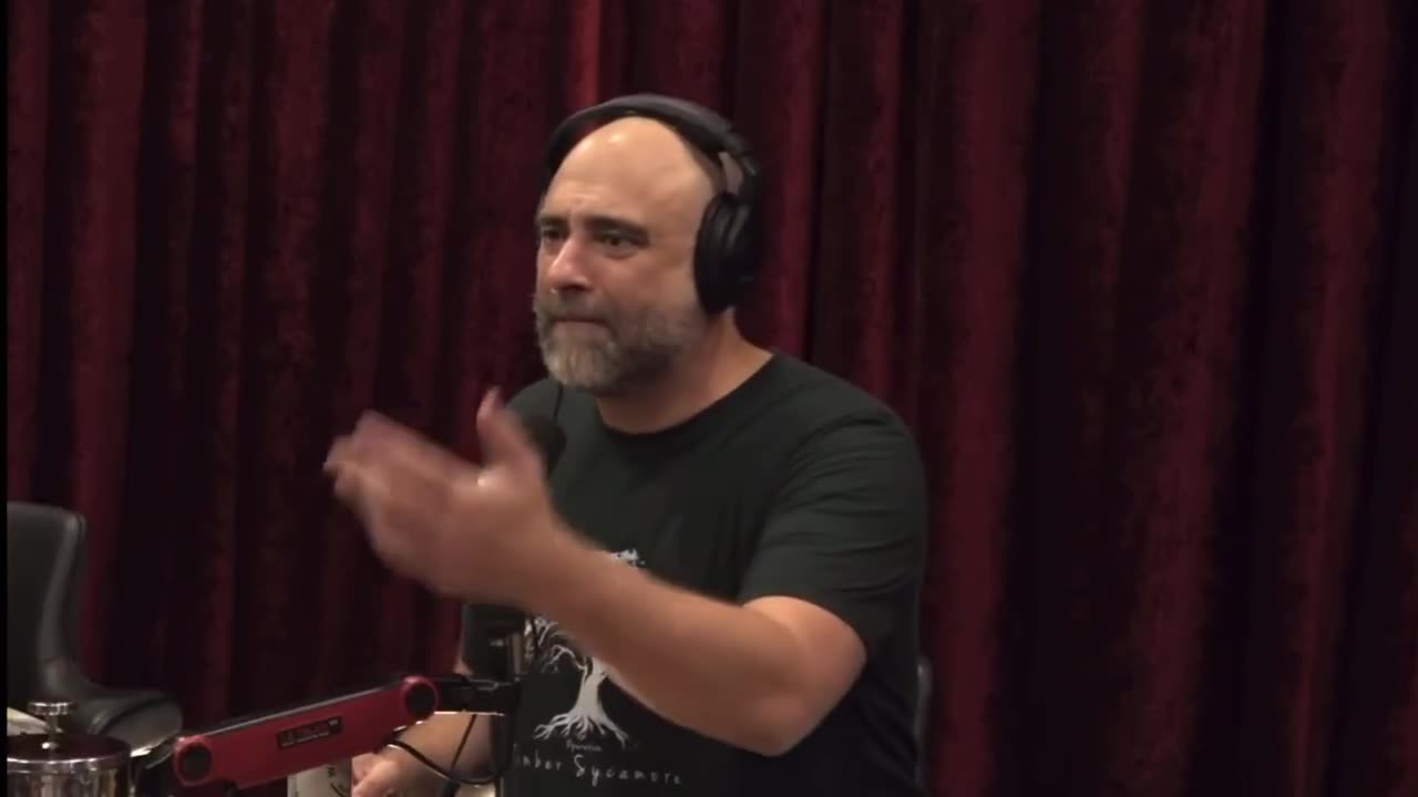 JOE ROGAN: CALL DOGE TO INVESTIGATE THE SNOW WHITE FLIP FLOP