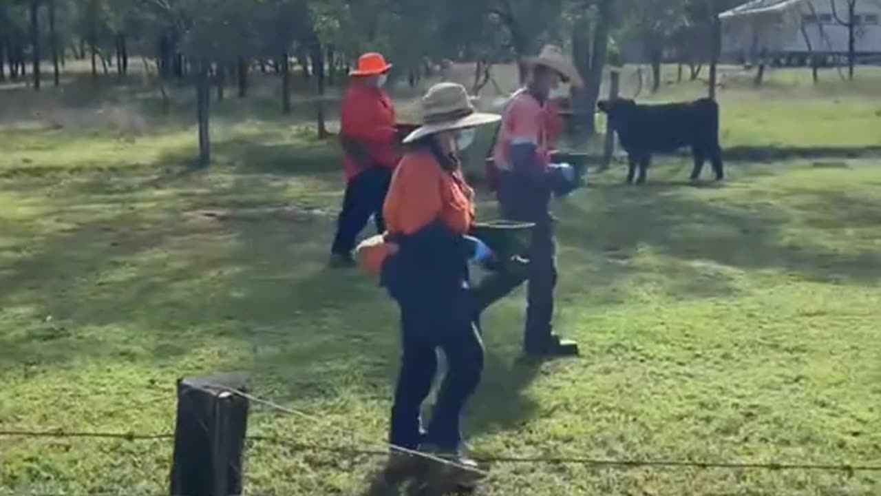 Australian Cops in Overdrive Breaking Property Rights