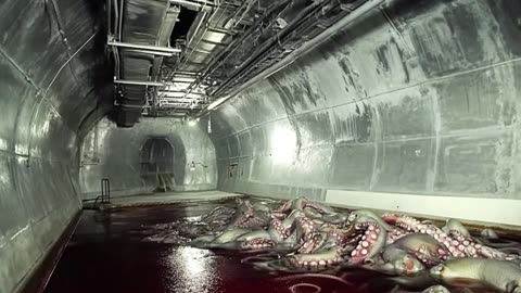 The real investigation behind the Blood Pond (SCP-354)