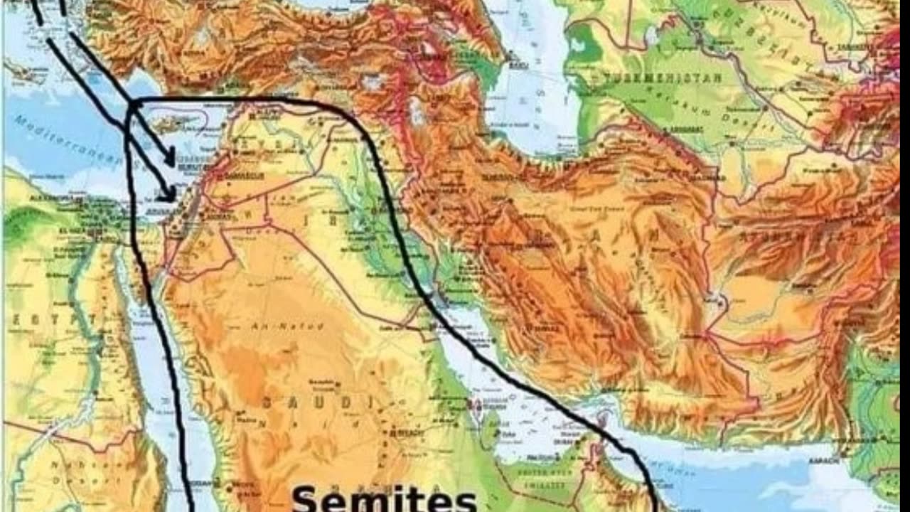 Ashkenazi/Khazari, not real Jews!