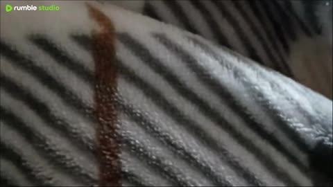 it's not a movie it actually feels bad