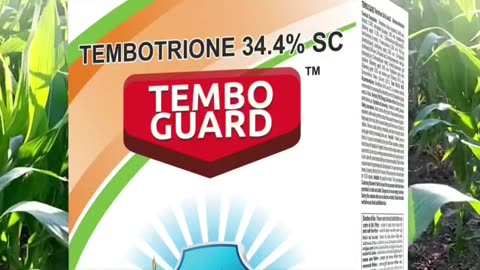 Tembo Guard – Best Herbicides for Farming by NACL Industries