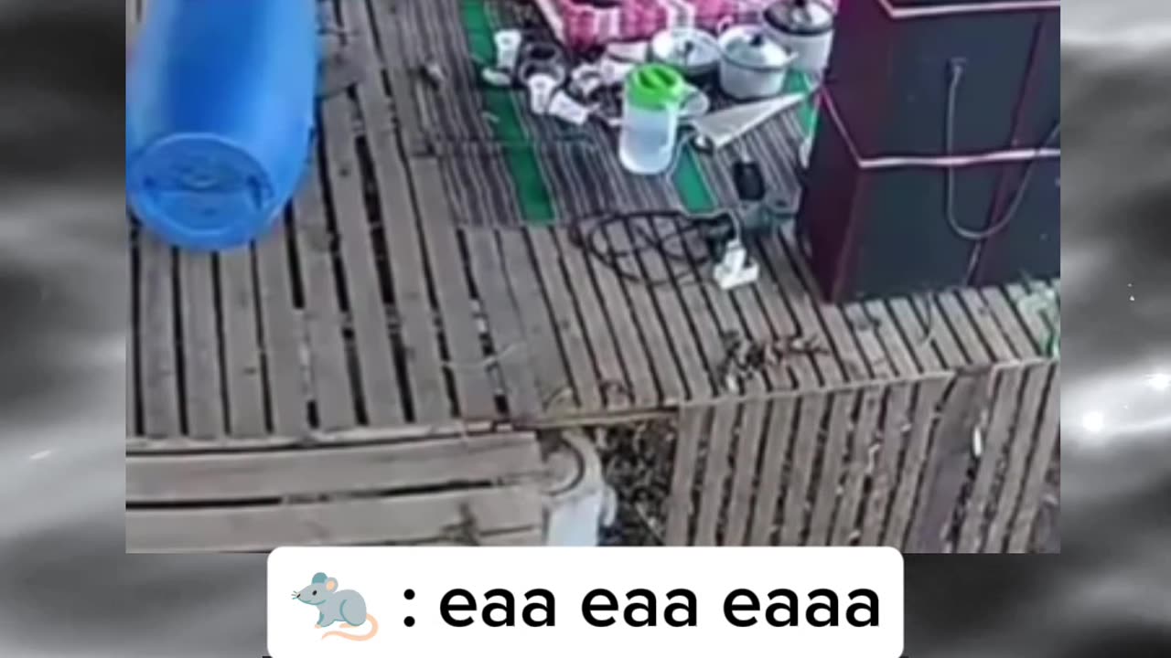 FUNNY MEMES VIDEOS