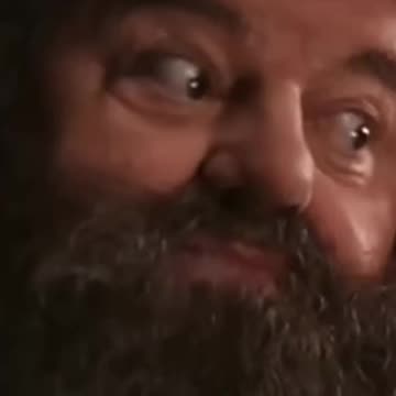 If Michael Bay Directed Harry Potter and the Chamber of Secrets