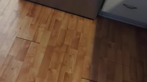 Weaponized Oven (November 2025)