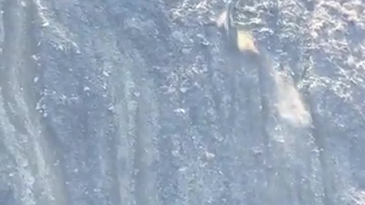 Shorts - Will He Make It?