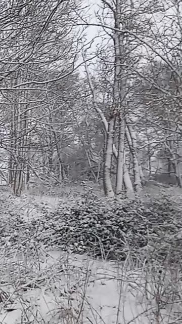 A Stunning Snowy Afternoon in Scotland