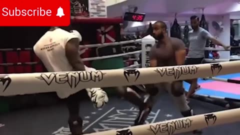 Fights Without Rules party1