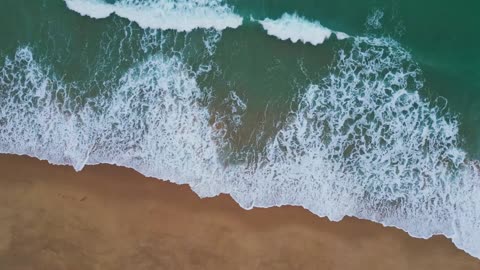 Ocean Dreams