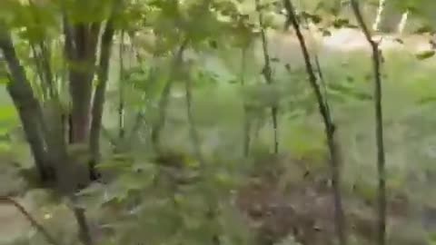 💥🕸️ Ukraine Russia War | Ukrainian Soldier Deploys Ptashka Mesh Launcher via FPV Drone | RCF