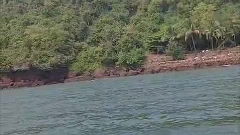 Sea