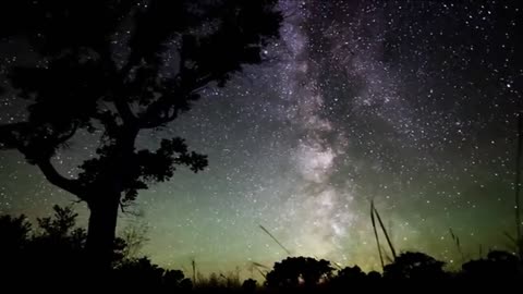 The Church - Under The Milky Way