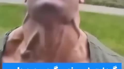 گردن