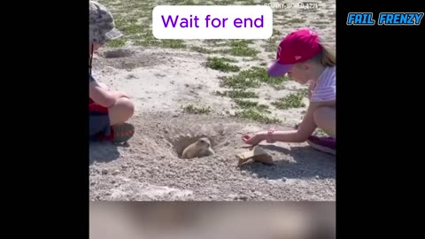 Funny video compilation old