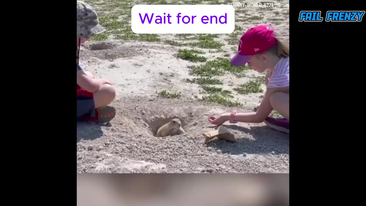 Funny video compilation old