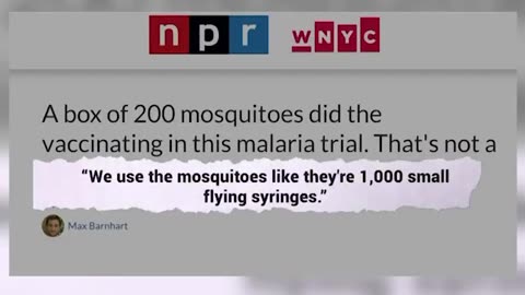 We use the mosquitoes like they're 1000 small flying syringes.