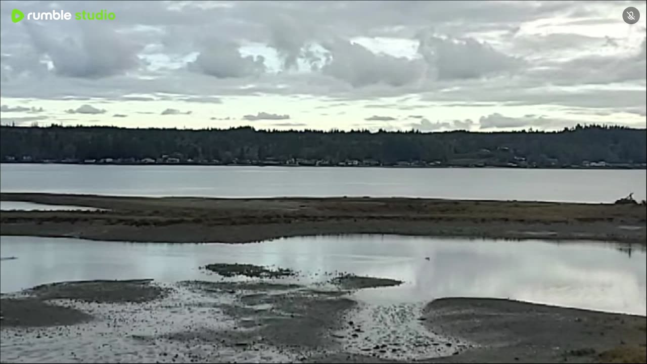 Enjoy the water view