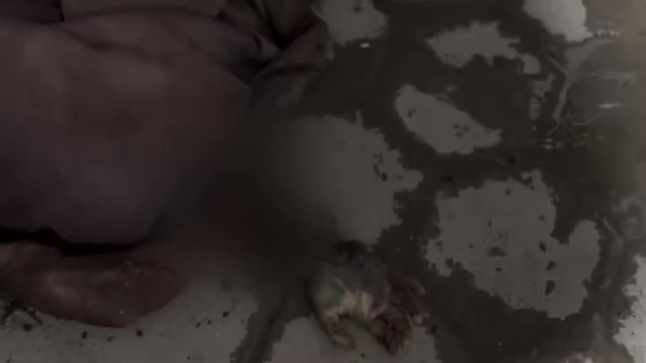A Palestinian child was killed after the occupation bombed a home in Al Tuffah neighborhood