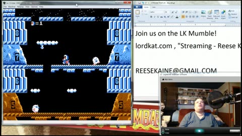 Ice Climber (NES)