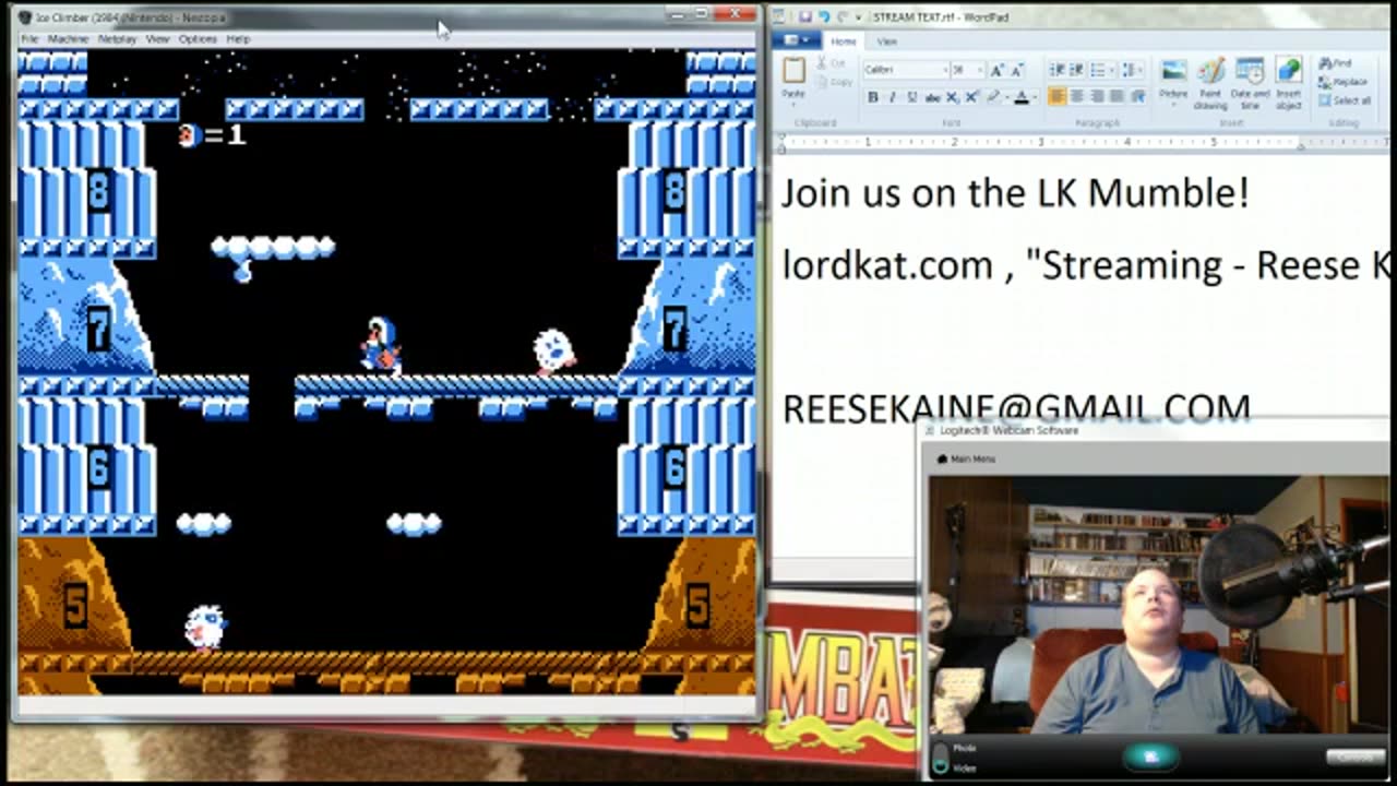 Ice Climber (NES)